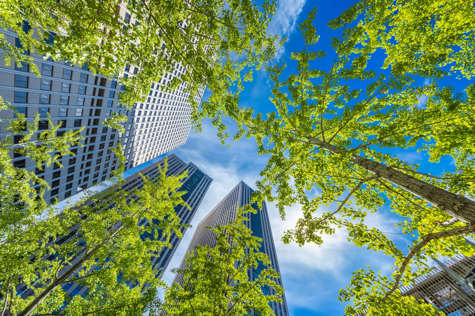 Urbanization and Mixed-Use Developments