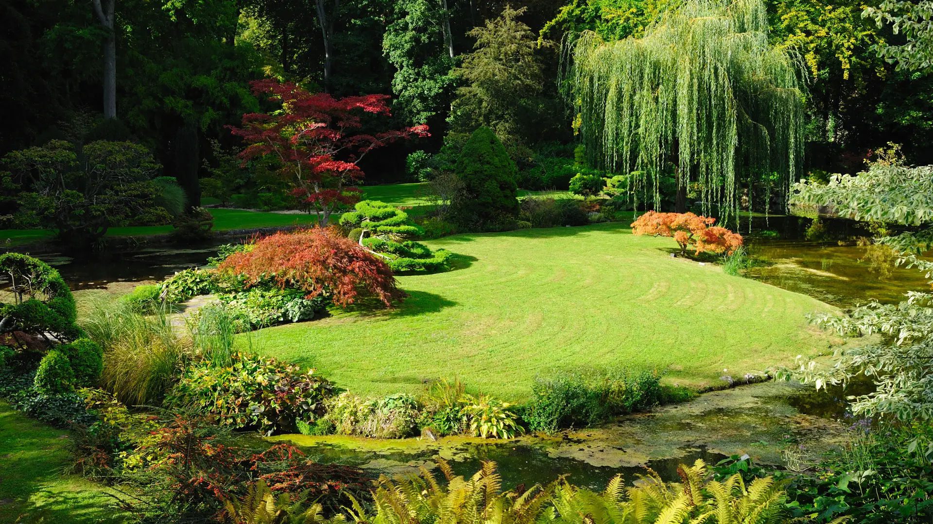 garden