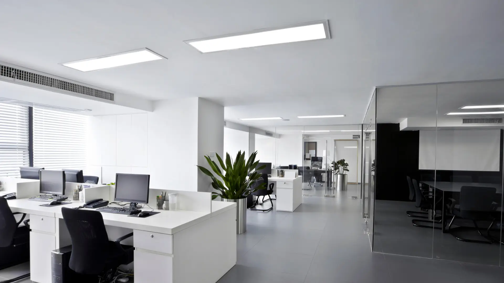 office